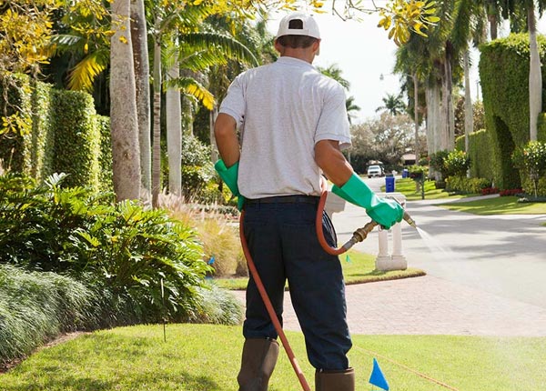 About Rockhill Furnace PA Pest Control